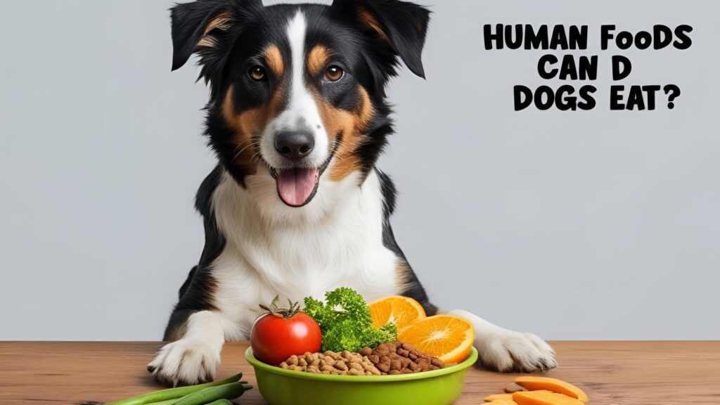 what Human Foods Can Dogs Eat