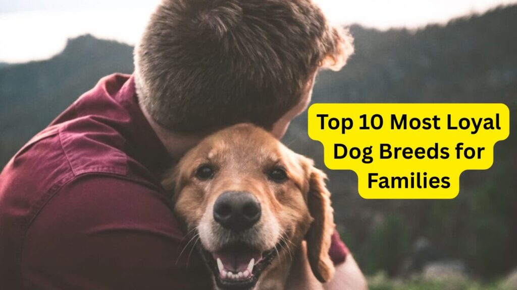 Top 10 Most Loyal Dog Breeds for Families in 2025